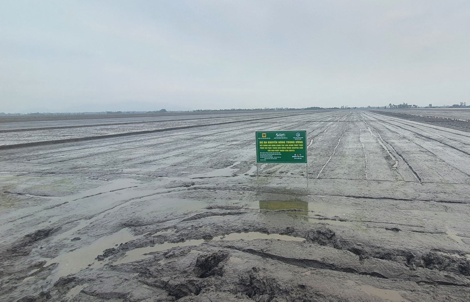 Kiên Giang: Xây dựng mô hình canh tác lúa giảm phát thải phục vụ phát triển bền vững nguồn nguyên liệu lúa gạo xuất khẩu vùng ĐBSCL vụ Đông Xuân 2024-2025