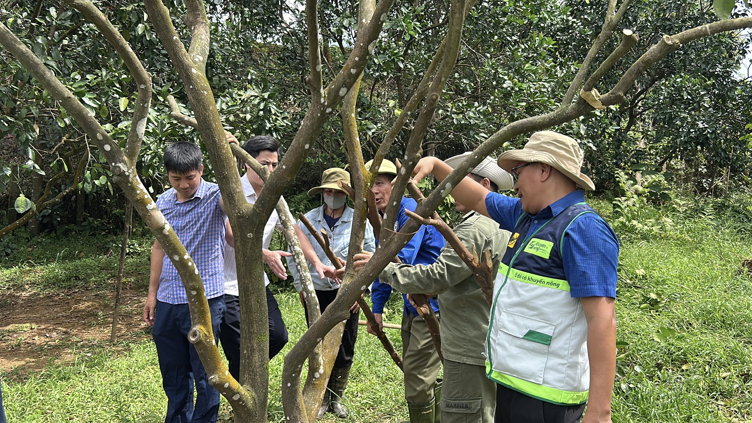 Nông nghiệp Hà Tĩnh chủ động vượt khó khắc phục sau bão số 10