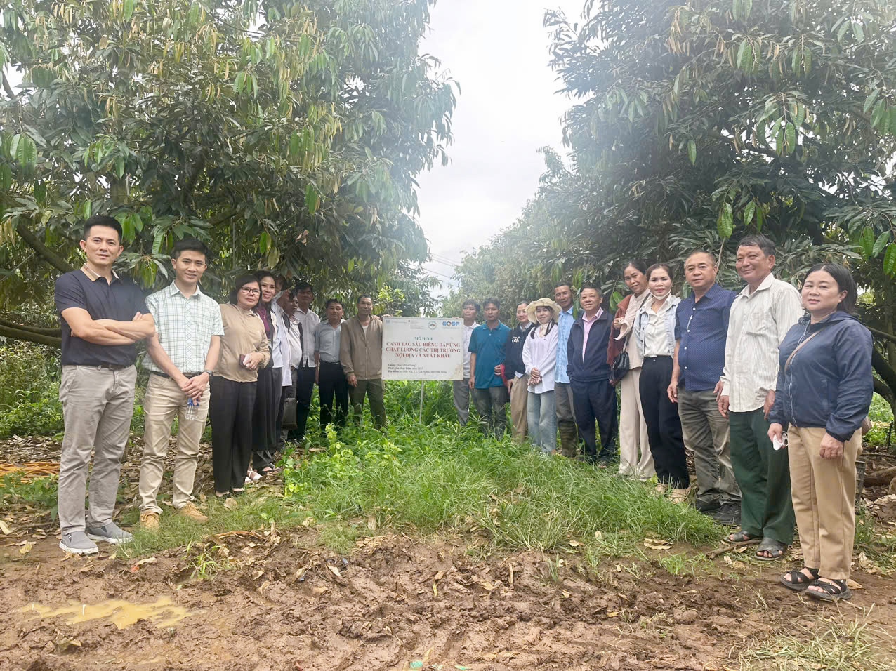 TTKNQG Tập huấn “Xây dựng Mã số vùng trồng, truy xuất nguồn gốc nông sản”