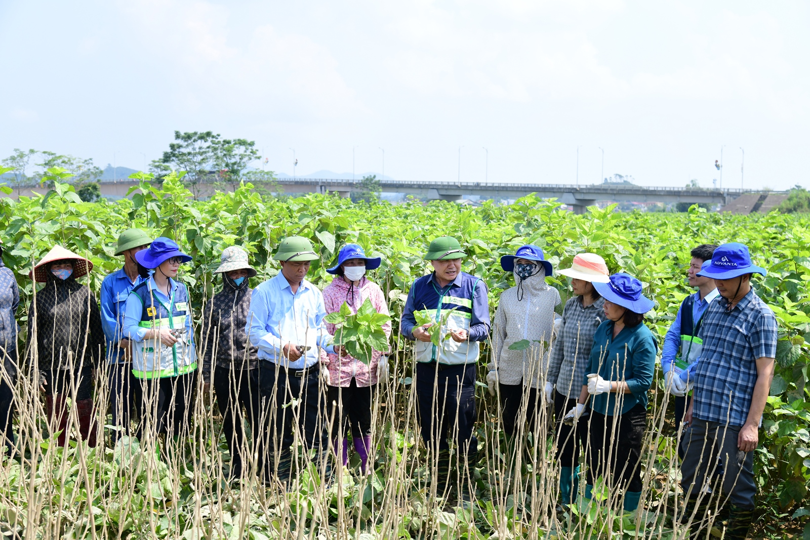 Khuyến nông quốc gia đồng hành cùng nông dân khôi phục sản xuất sau mưa, lũ