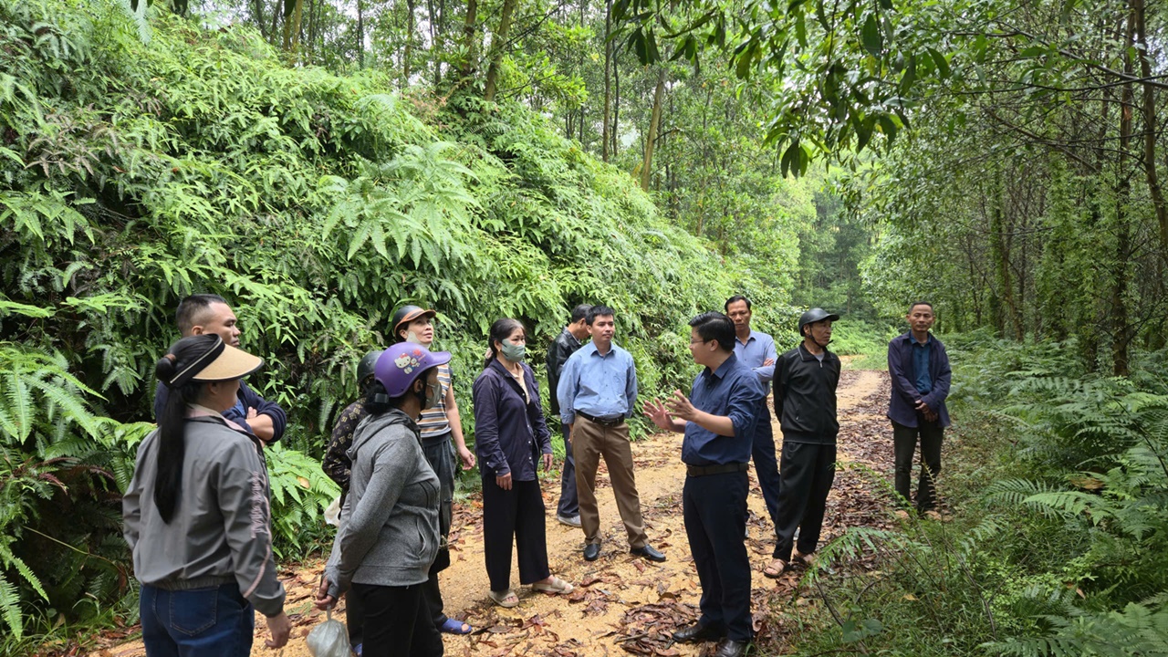 Lào Cai Tập huấn “Liên kết sản xuất và phát triển chuỗi giá trị sản phẩm gỗ rừng trồng gắn với chứng chỉ rừng”