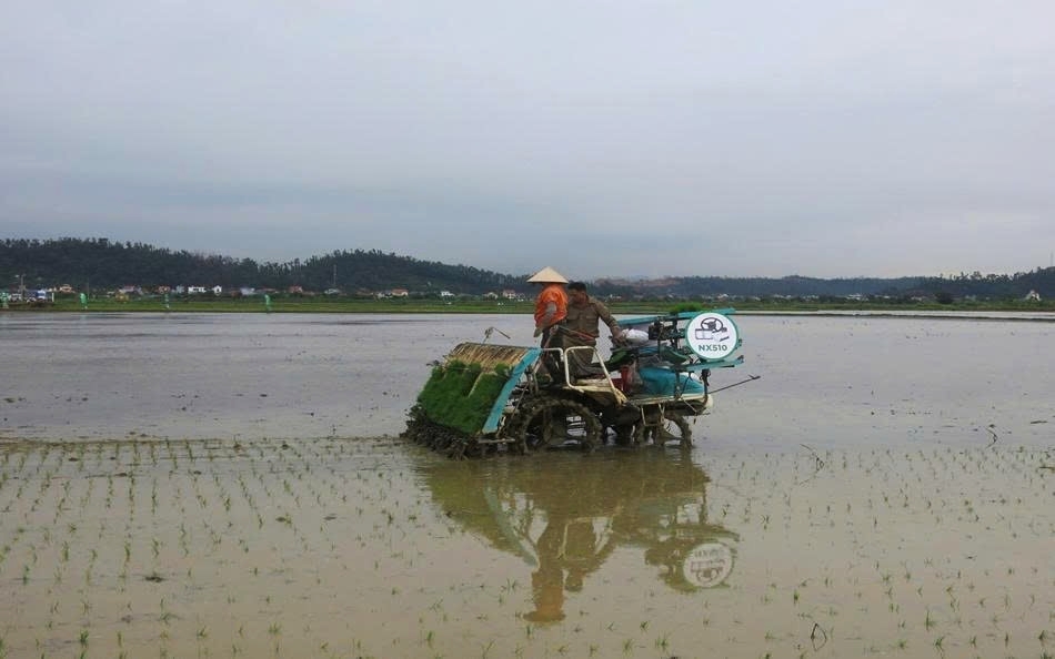 Cánh đồng công nghệ - hướng đi tất yếu cho nông nghiệp số và bền vững tại Hải Phòng
