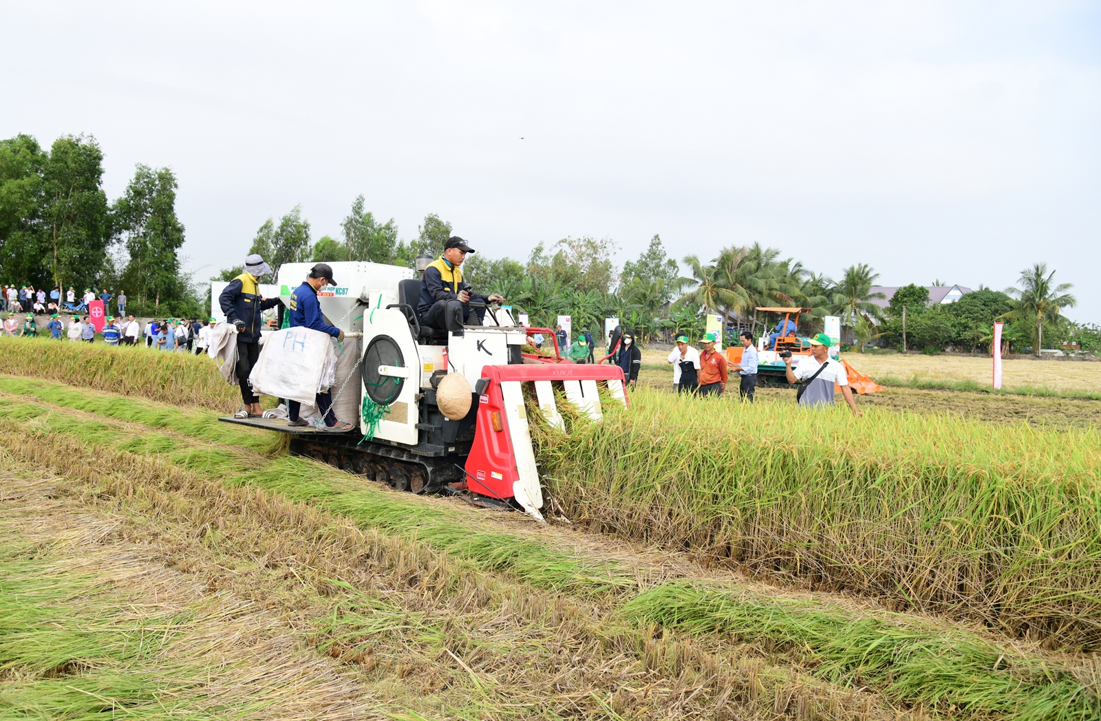 Cách mạng khuyến nông Hiện đại hóa toàn diện để phụng sự nhân dân