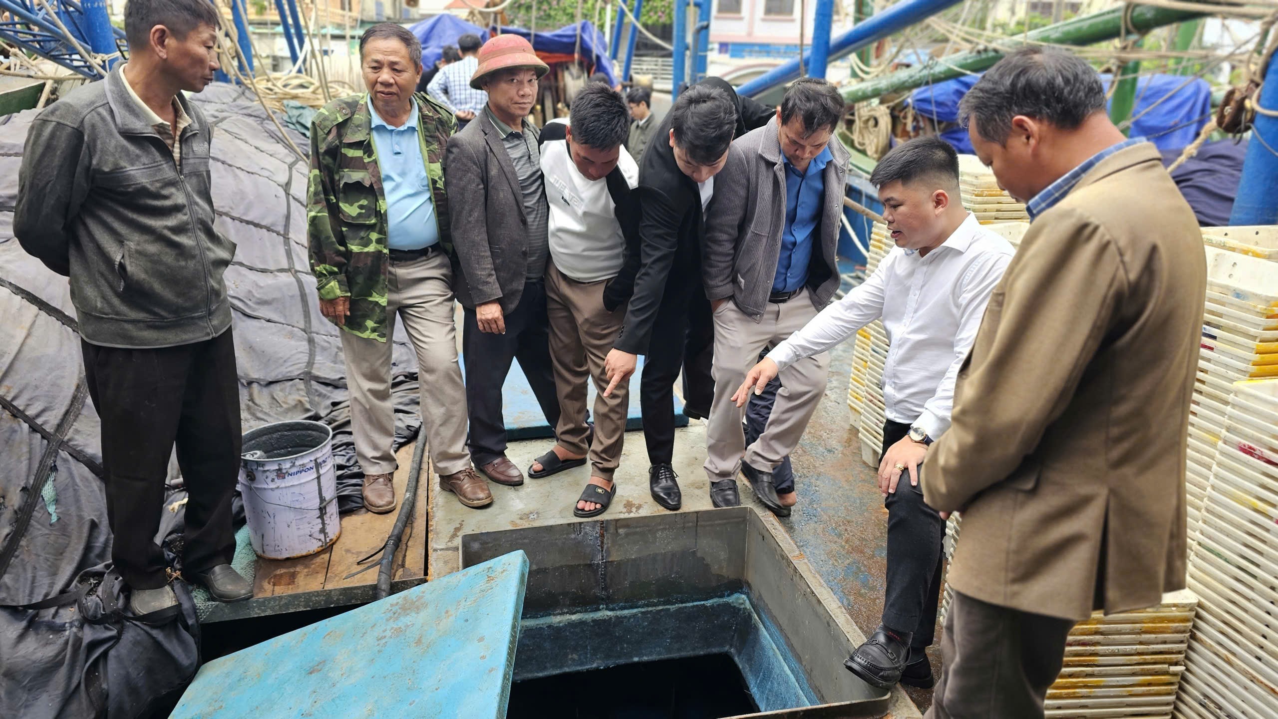 Nâng cao năng lực liên kết, sản xuất, chống khai thác IUU trong nghề cá