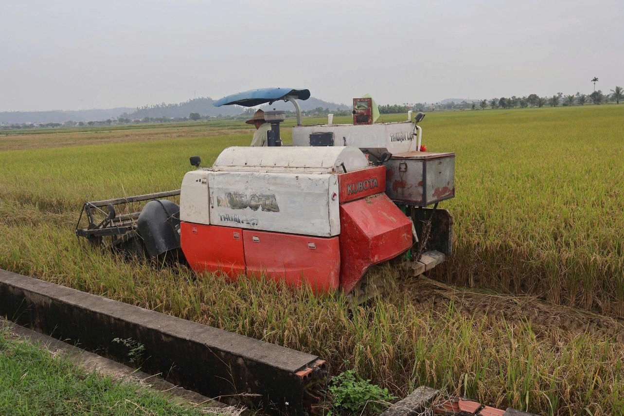 Cánh đồng công nghệ - Hướng đi xanh cho sản xuất lúa Hải Phòng