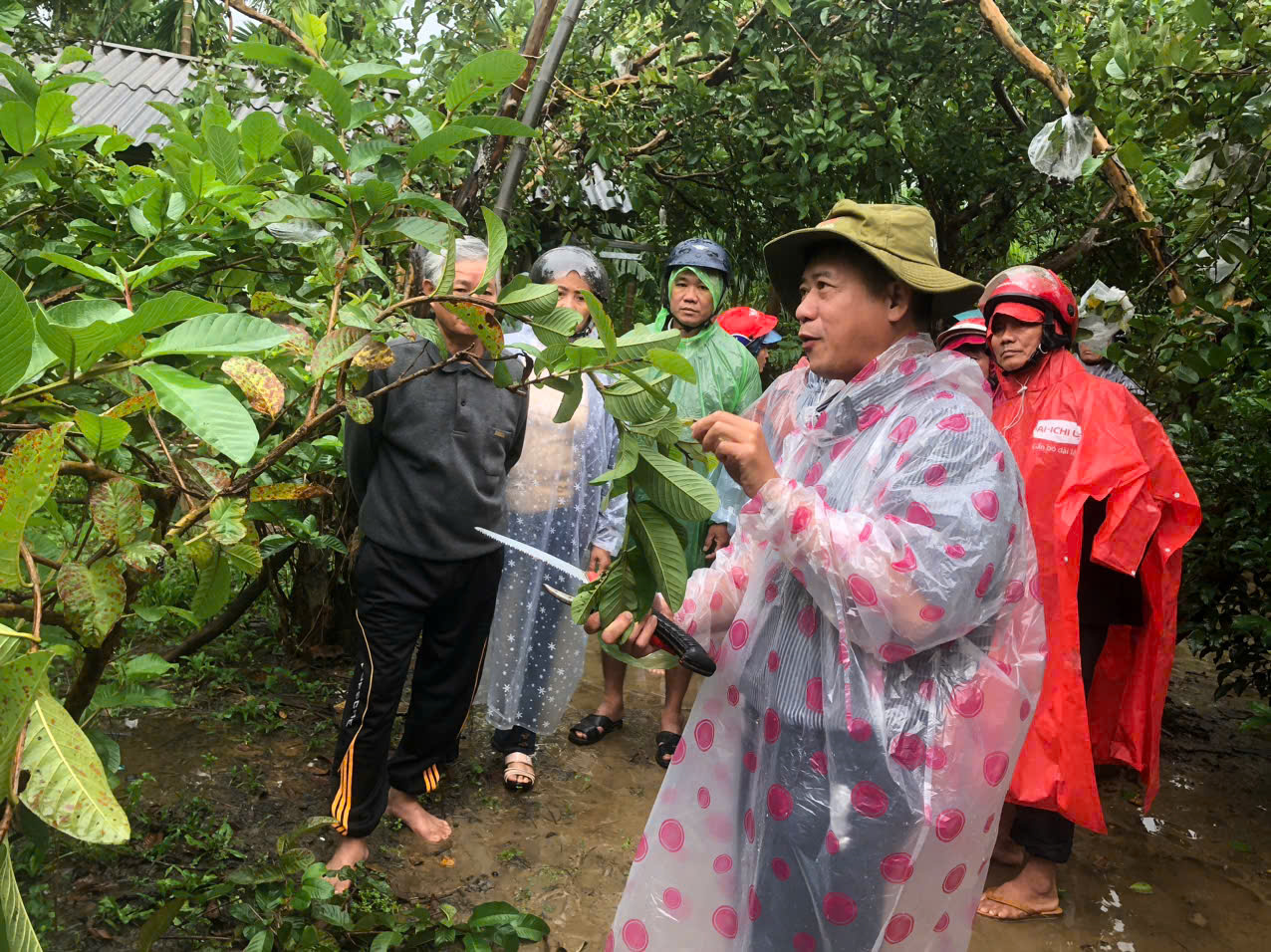 Toạ đàm hướng dẫn khôi phục sản xuất sau mưa lũ tại Quảng Ngãi