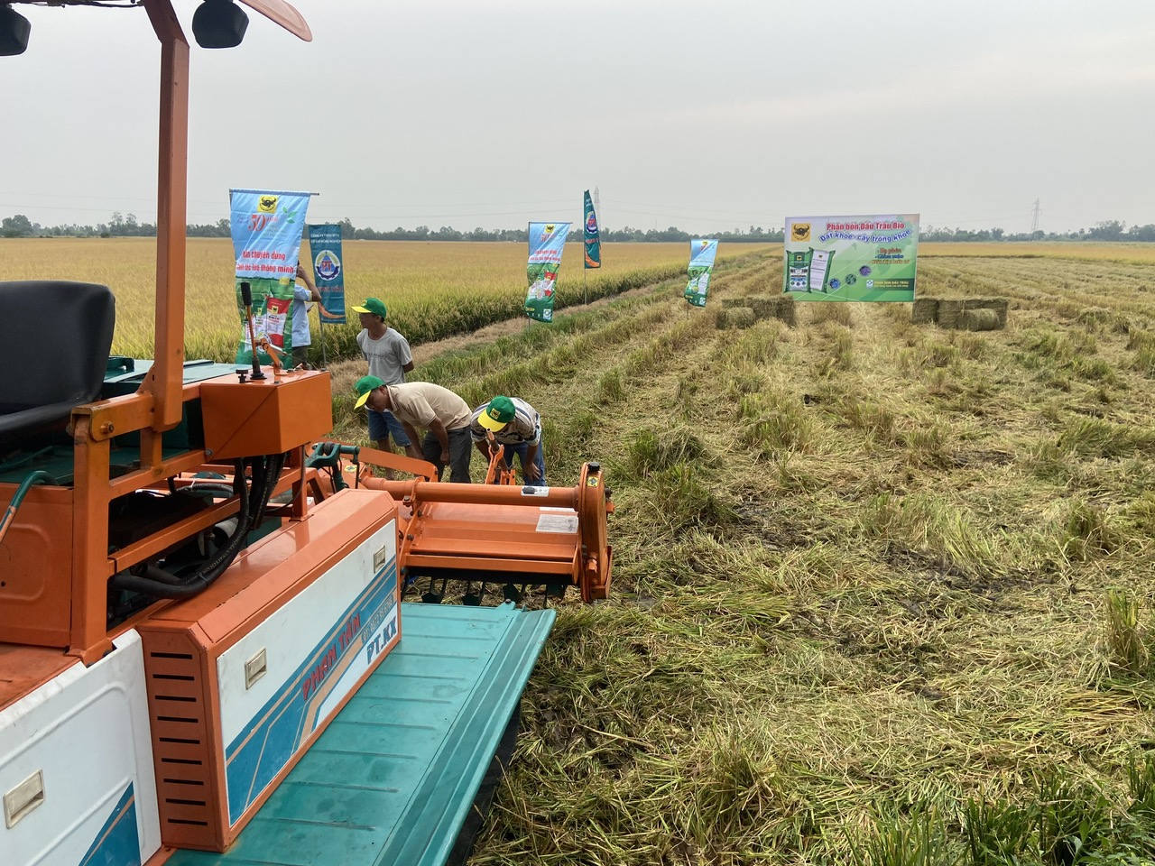 Quy trình quản lý rơm rạ tuần hoàn góp phần thực hiện Đề án 1 triệu hecta lúa chất lượng cao, phát thải thấp