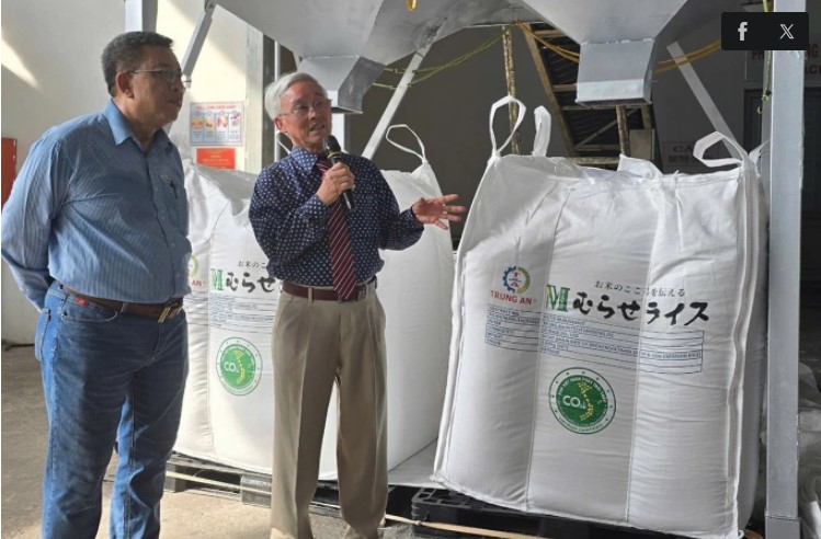 Công nghệ tạo đột phá cho Đề án 1 triệu hecta lúa chất lượng cao, phát thải thấp