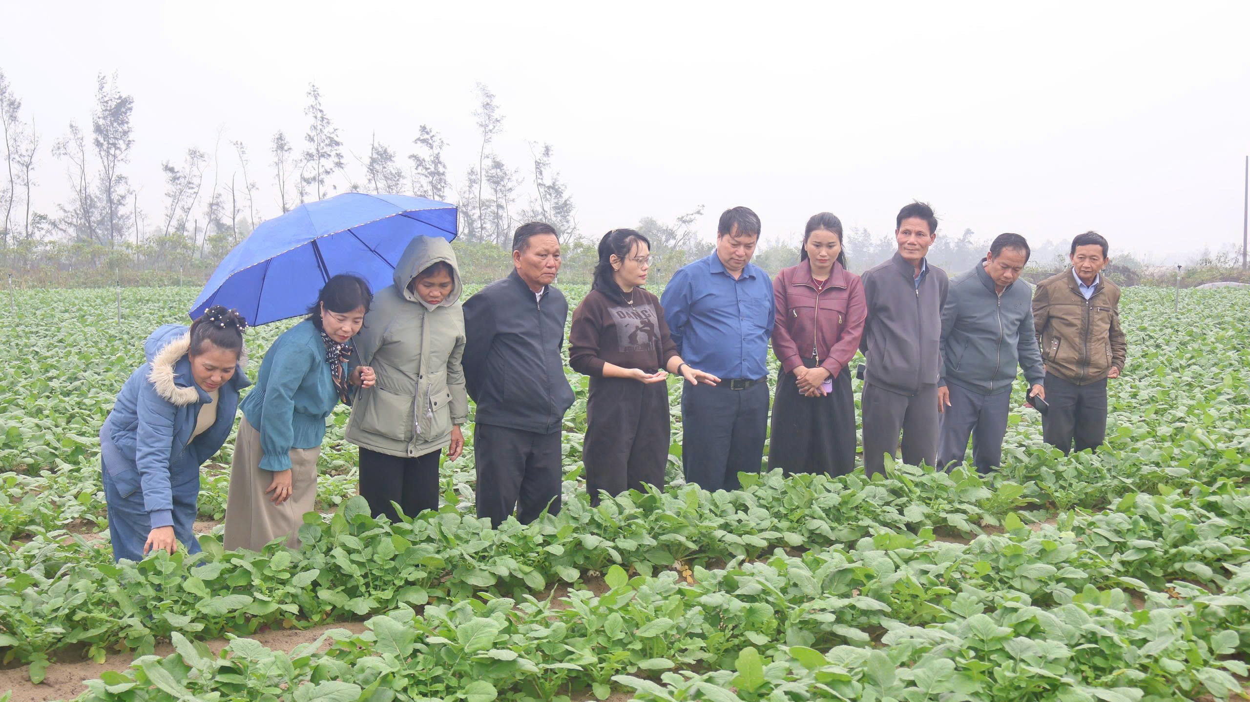 Hà Tĩnh tổ chức tập huấn hướng dẫn ban hành chính sách khuyến nông cộng đồng