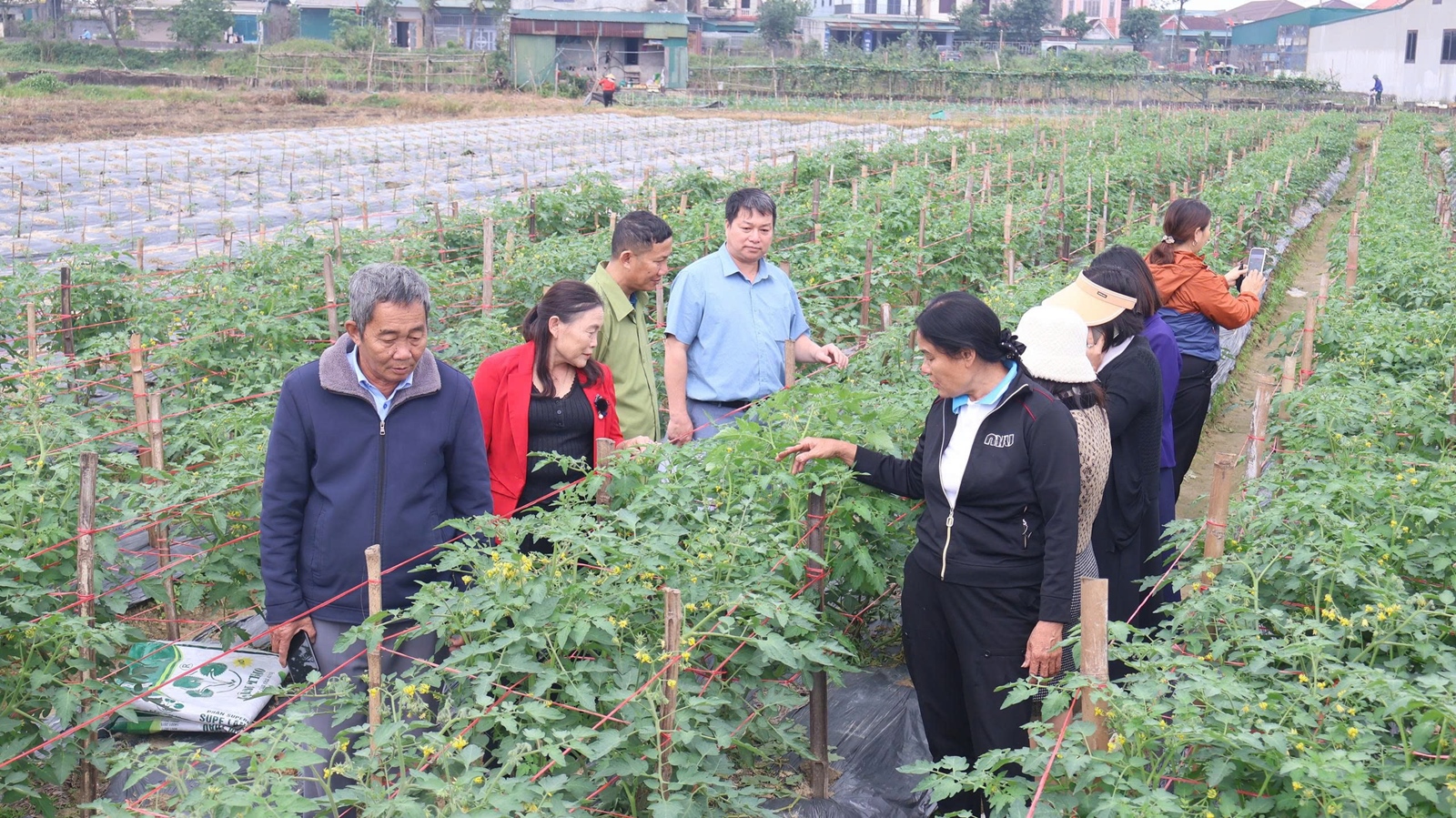 Hà Tĩnh tổ chức tập huấn hướng dẫn ban hành chính sách khuyến nông cộng đồng