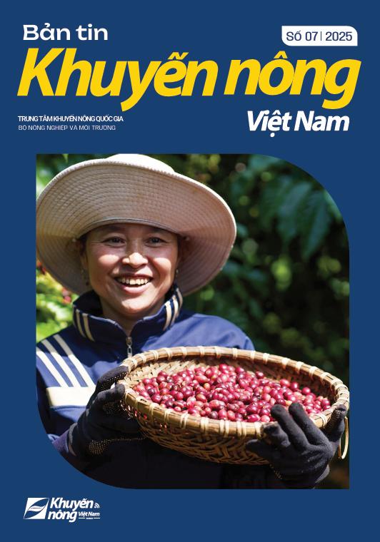 Bản tin Khuyến nông Việt Nam số 7-2025