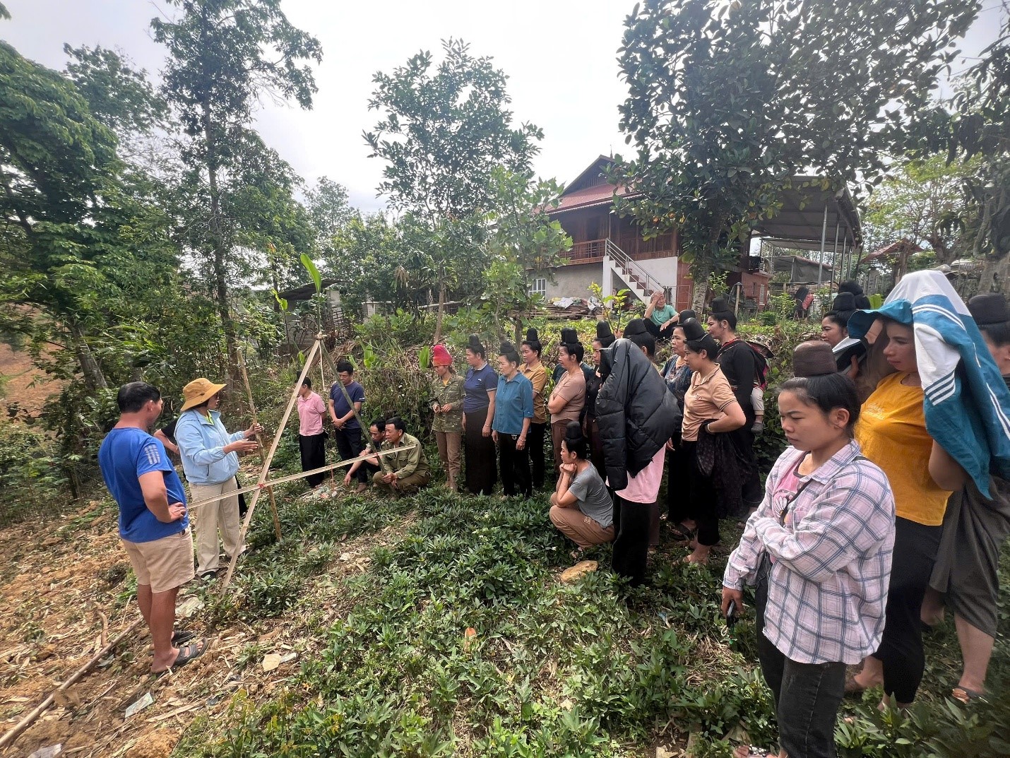 Khuyến nông cộng đồng phối hợp tham gia thực hiện dự án “Xây dựng mô hình tái canh cà phê chè vùng Tây Bắc” tại Sơn La