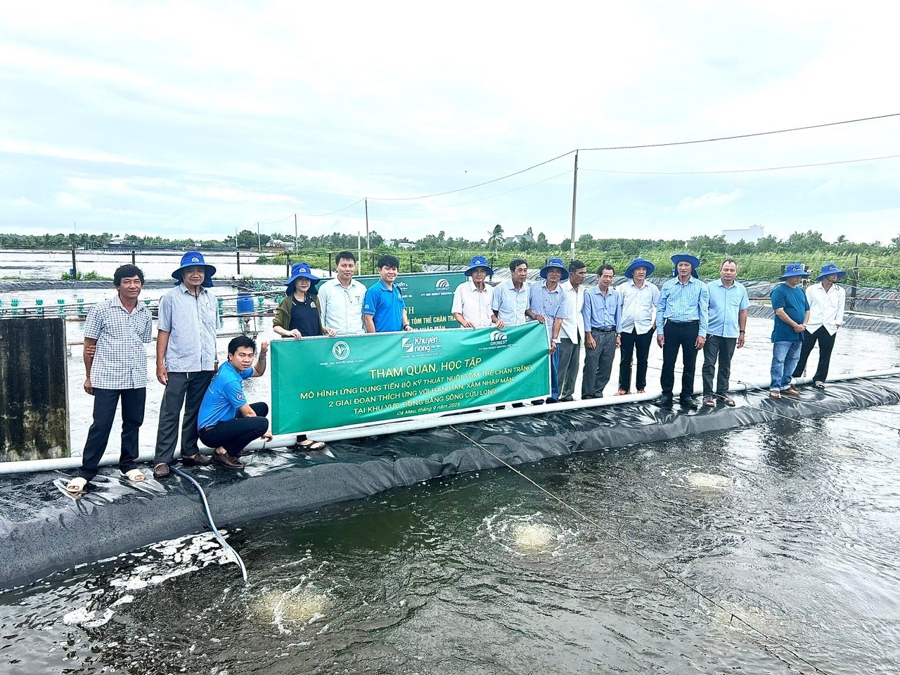 Hiệu quả mô hình thu gom và xử lý chất thải trong ao nuôi tôm thâm canh