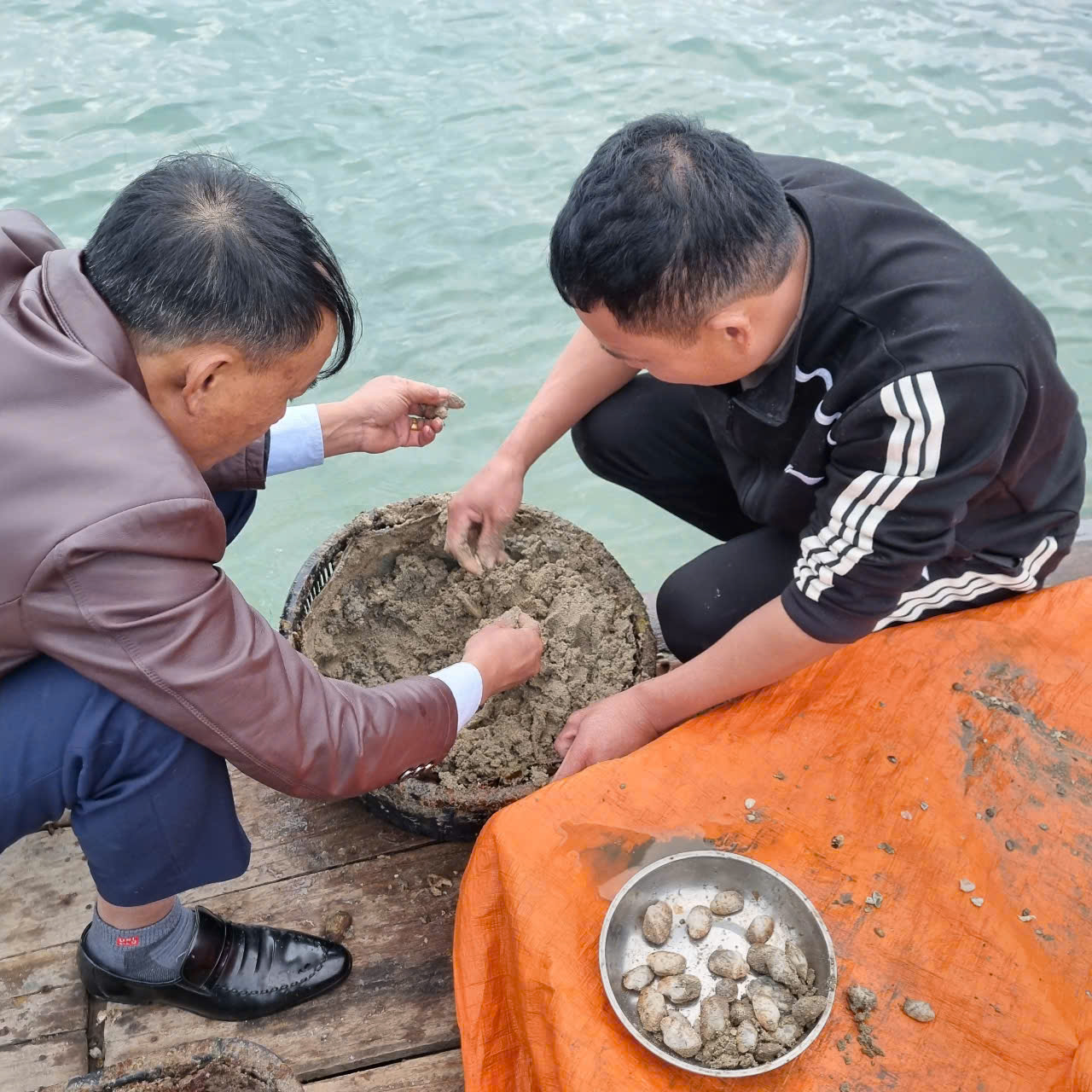 Hiệu quả mô hình nuôi ngao hai cùi thương phẩm