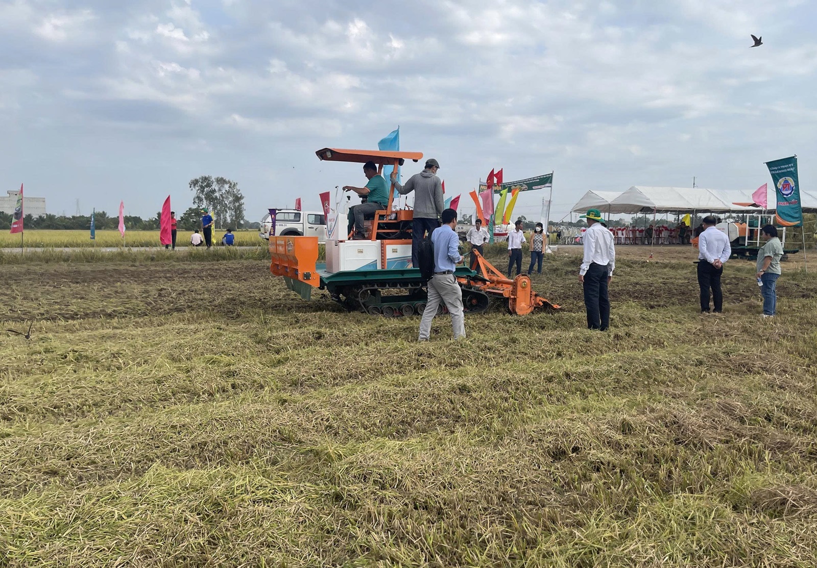 An Giang Gần 5 nghìn nông dân tham dự triển khai quy trình sản xuất lúa chất lượng cao, phát thải thấp