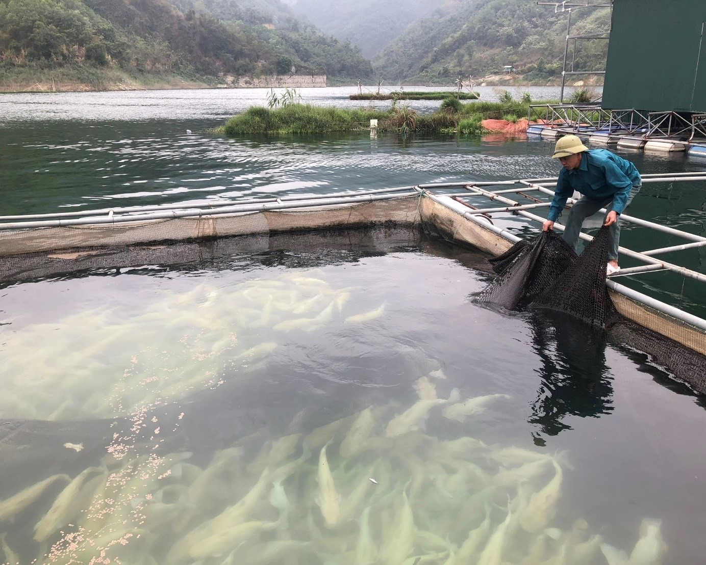 Các giải pháp để ngành nuôi trồng thuỷ sản đạt kế hoạch tăng trưởng năm 2026