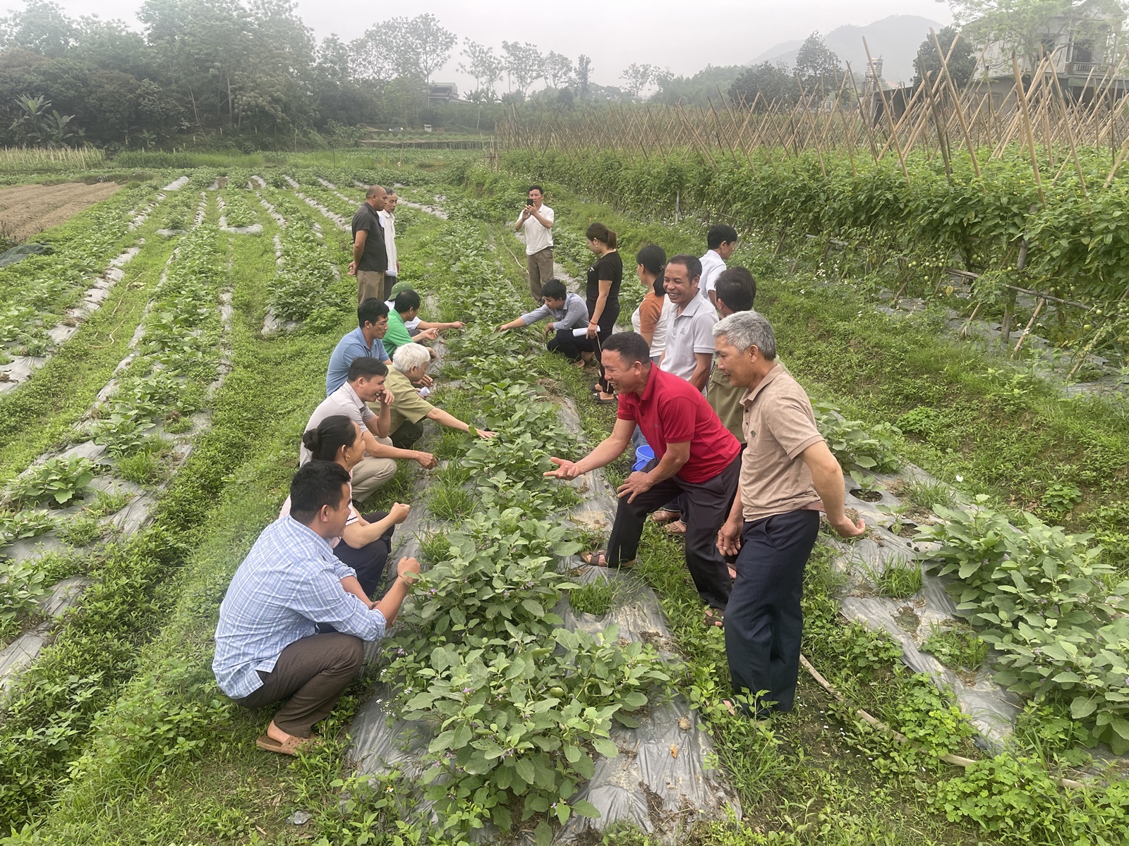 Tuyên Quang Kết quả hoạt động khuyến nông năm 2025