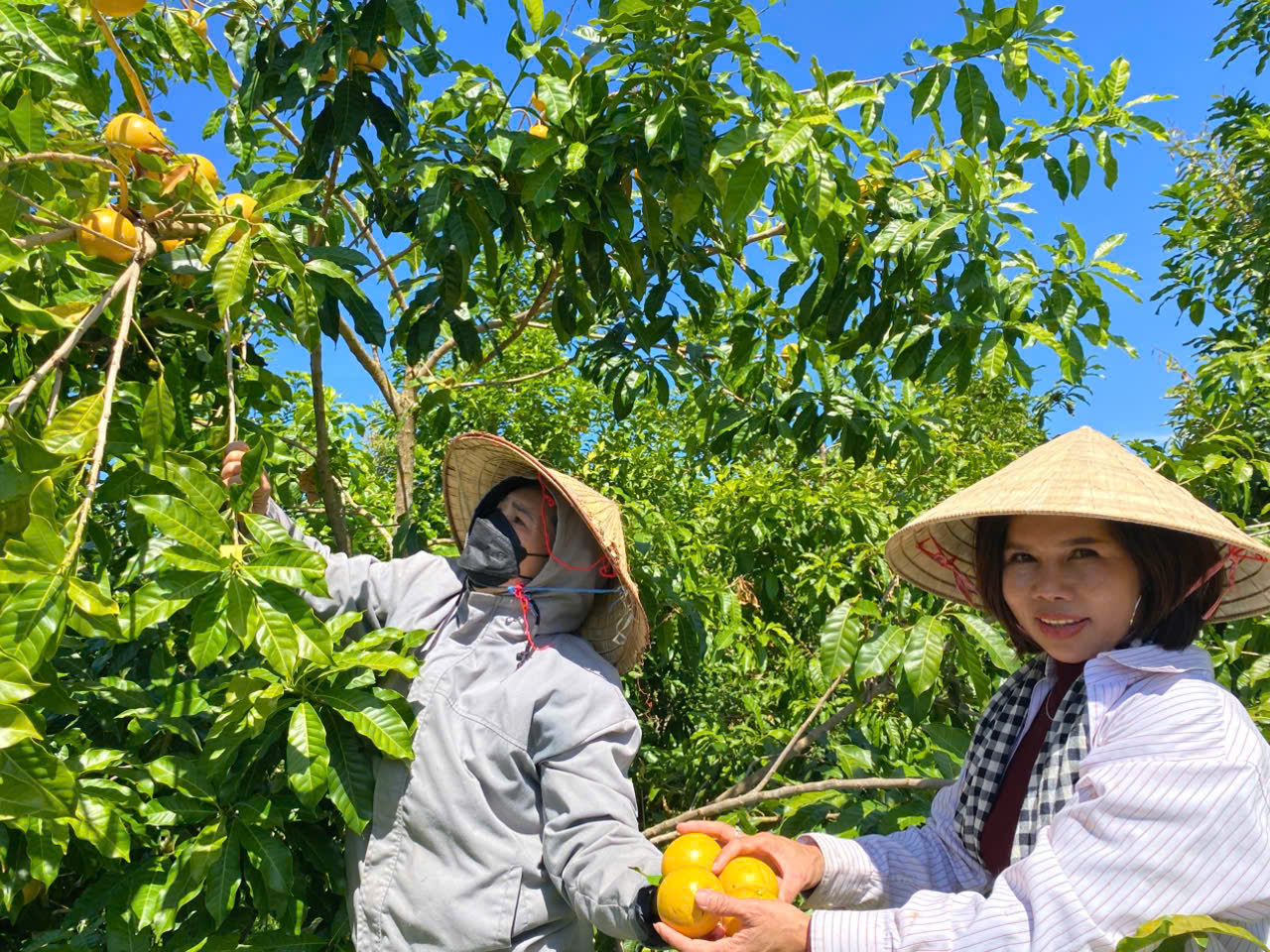 Đa dạng cây trồng, vật nuôi giúp nâng cao thu nhập cho nông dân Đam Rông 2