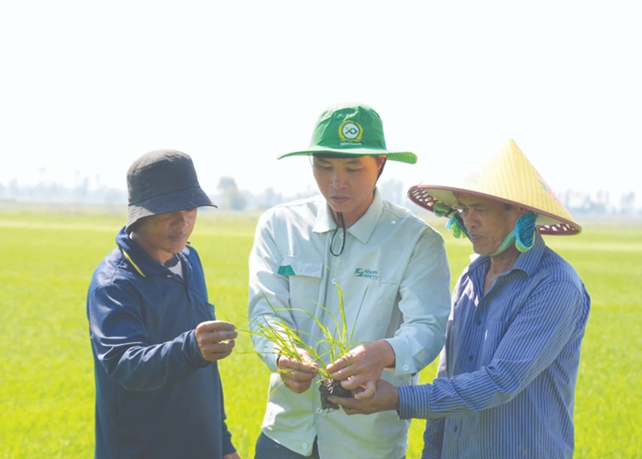 Khuyến nông Việt Nam năm 2025 - Sứ mệnh lịch sử