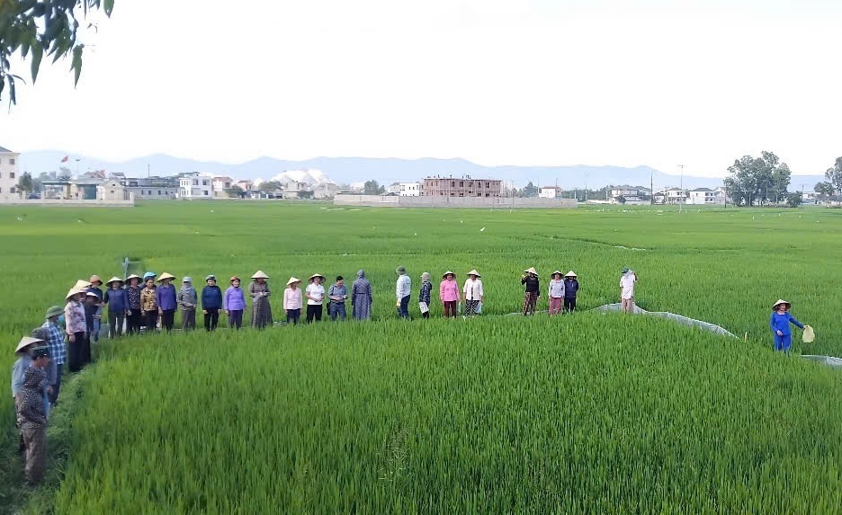 Nghệ An Dấu ấn hoạt động khuyến nông năm 2025 và định hướng năm 2026