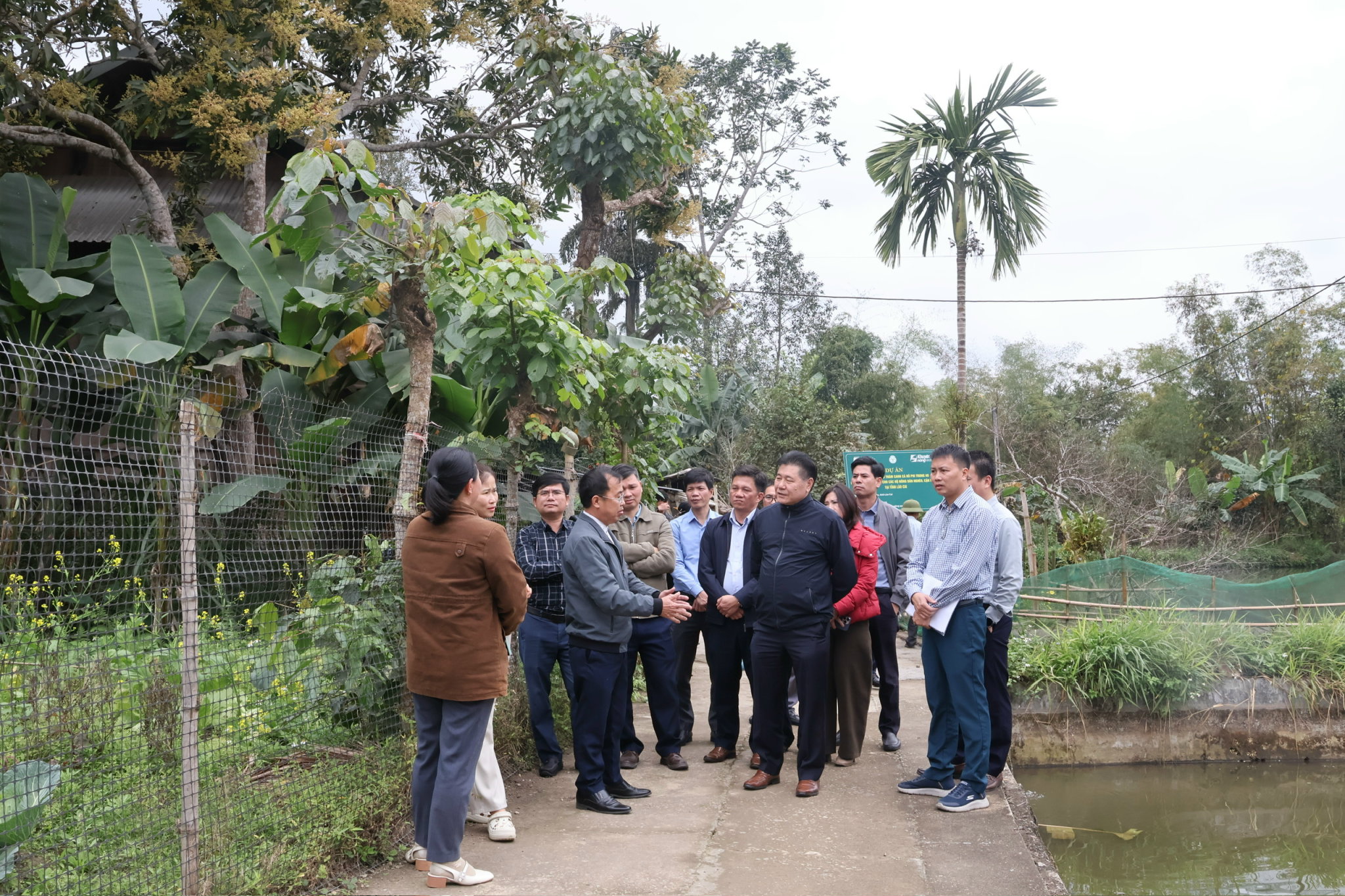 Trung tâm Khuyến nông quốc gia thăm, hỗ trợ mô hình nuôi cá rô phi tại xã Khánh Yên