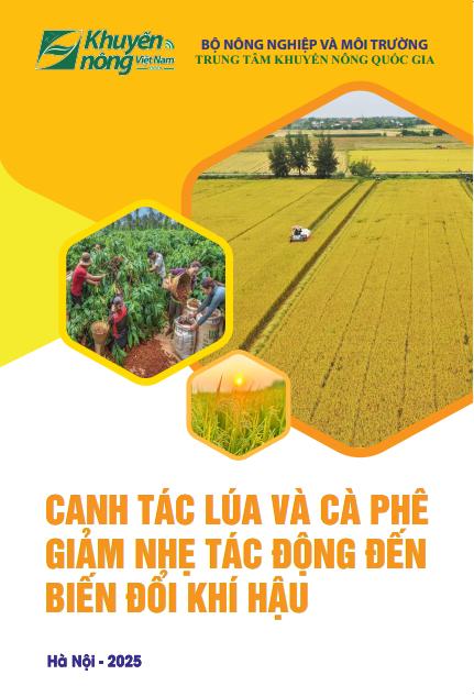 Canh tác lúa và cà phê giảm nhẹ tác động đến biến đổi khí hậu