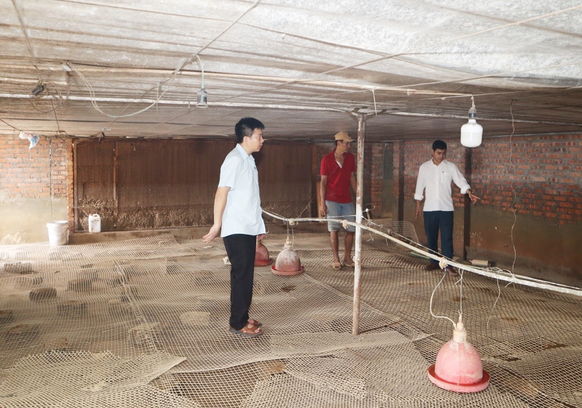 Hướng dẫn biện pháp cấp bách khôi phục đàn gia cầm sau mưa lũ