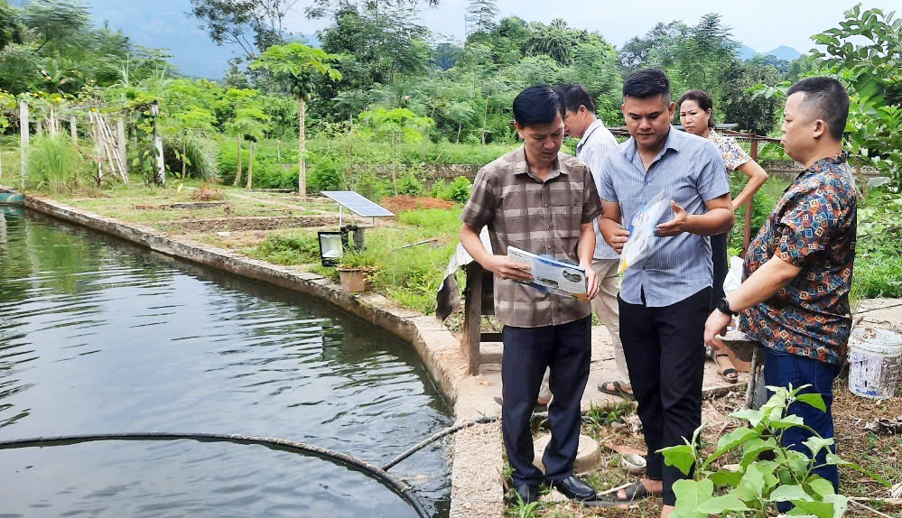 Hướng dẫn chăm sóc thủy sản nuôi ao hồ sau mưa lũ