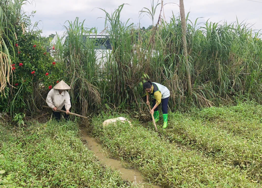 Biện pháp khắc phục rau hoa màu sau bão lũ