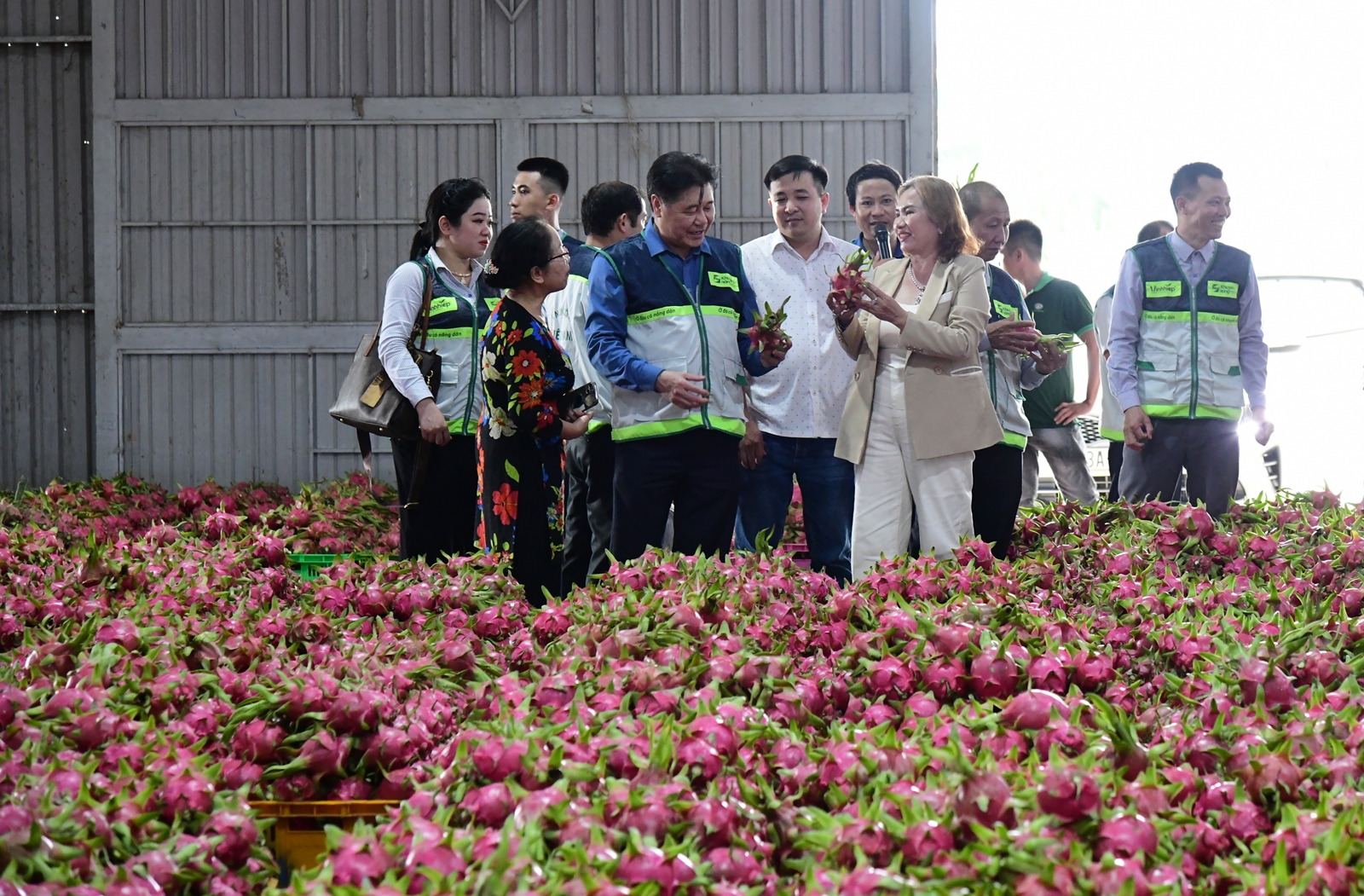 Chức năng, nhiệm vụ, quyền hạn và cơ cấu tổ chức hệ thống khuyến nông cấp tỉnh