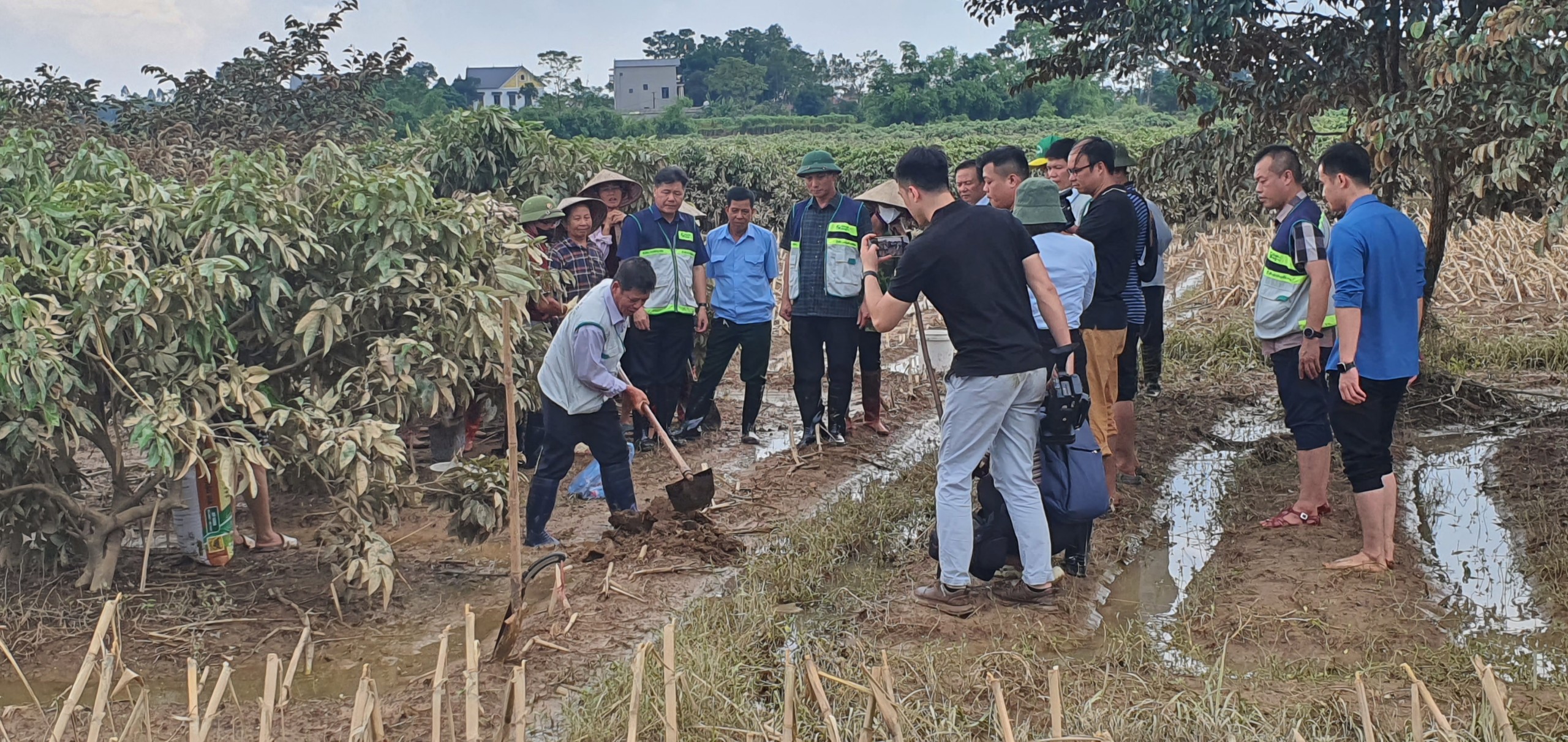 Hướng dẫn xử lý các vùng đất bị vùi lấp sau bão lũ