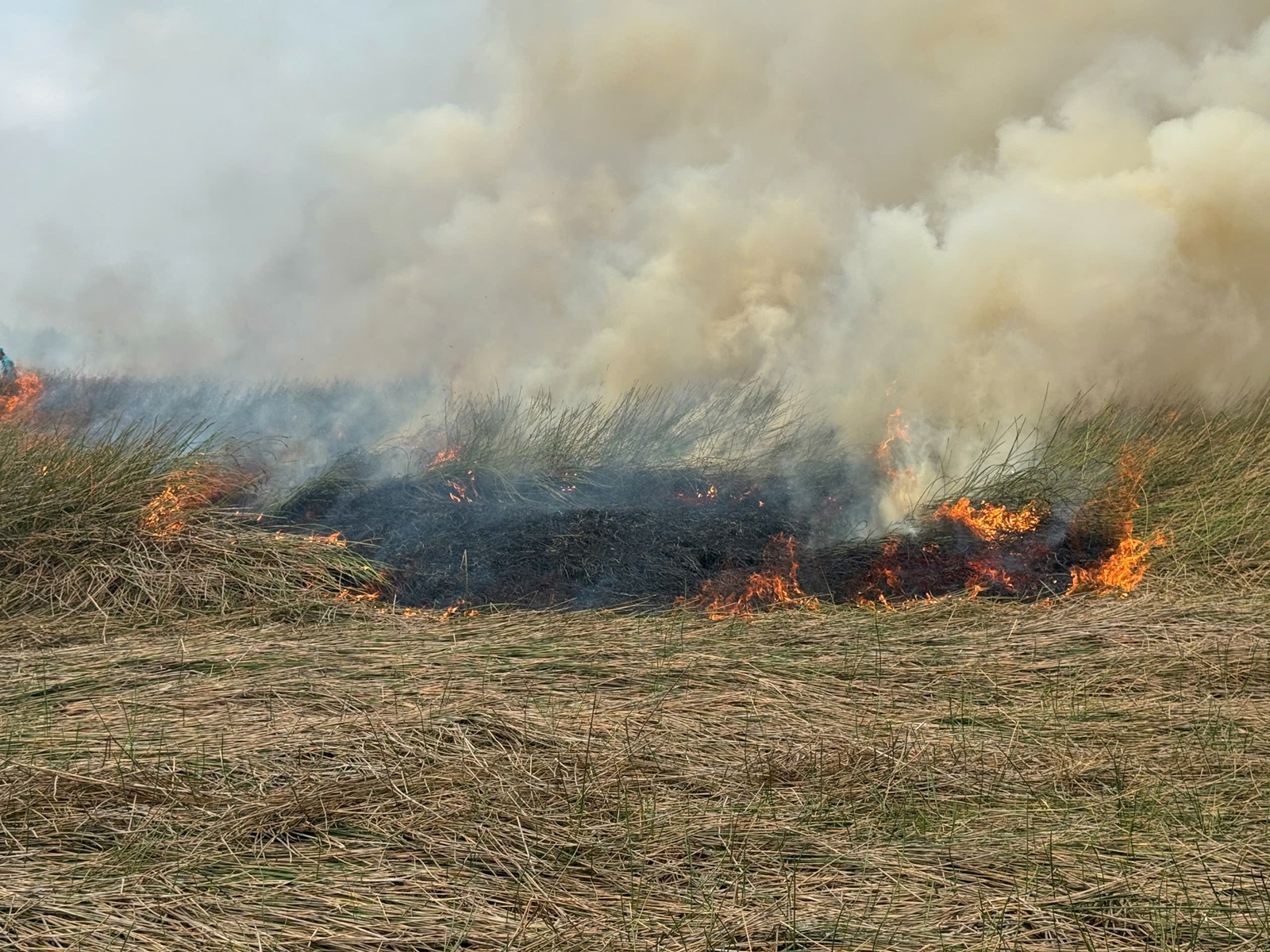 Vườn Quốc gia Tràm Chim chủ động phòng chống cháy rừng tràm