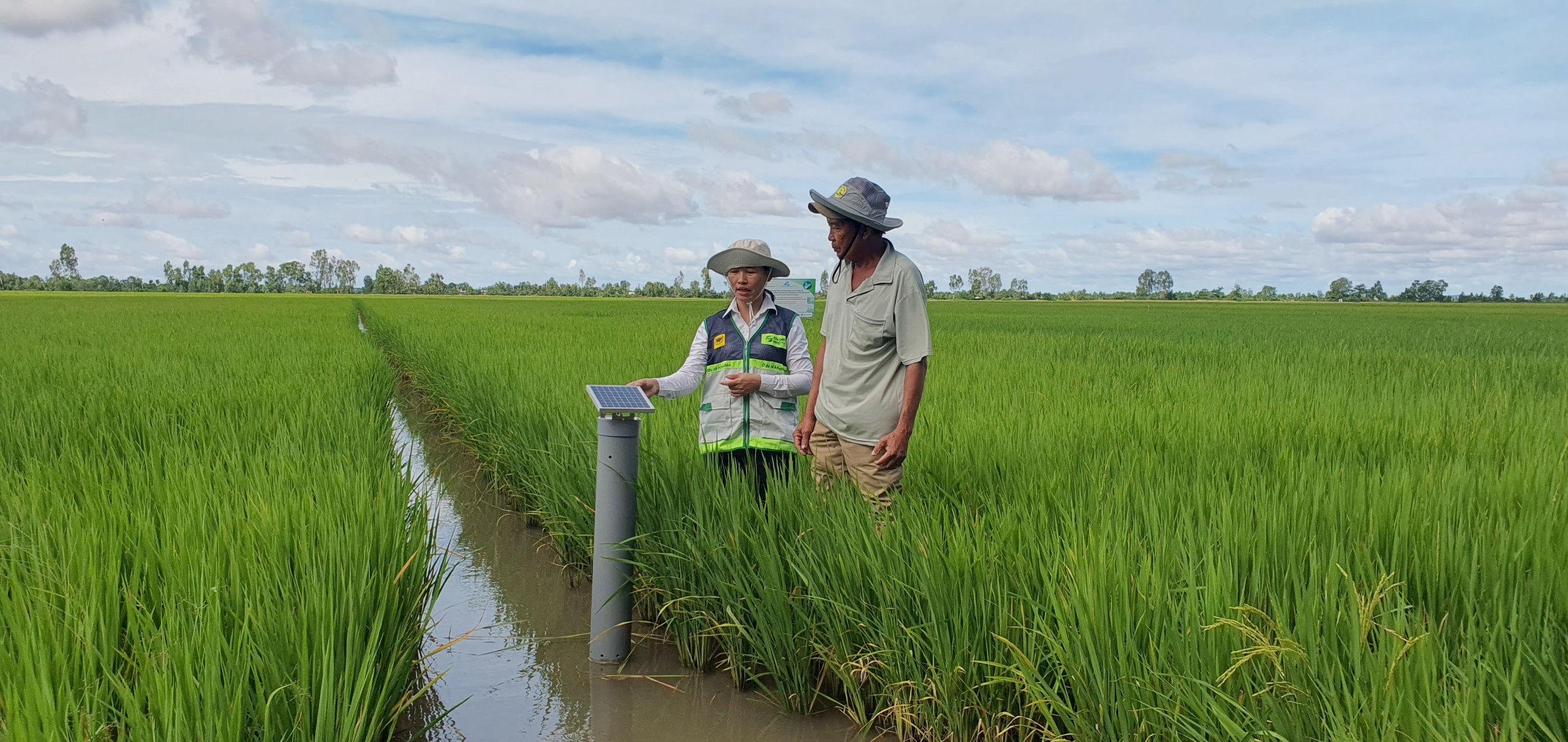 Giới thiệu Đề án “Sản xuất giảm phát thải lĩnh vực trồng trọt giai đoạn 2025-2035, tầm nhìn đến 2050”.