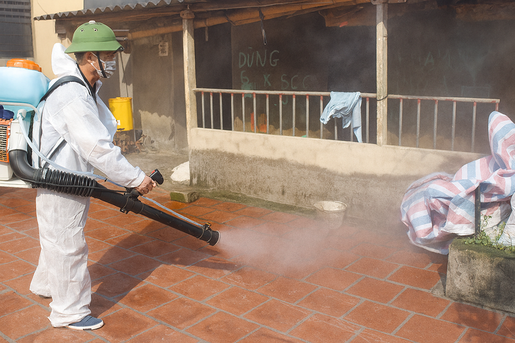 Hướng dẫn xử lý chuồng trại sau dịch tả lợn châu Phi