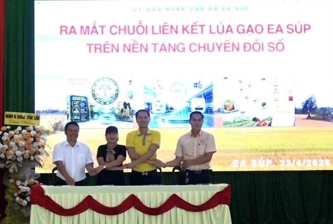 Đắk Lắk  Bước đột phá từ chuyển đổi kép trong “Liên kết chuỗi giá trị lúa gạo Ea Súp trên nền tảng số” nơi vùng biên giới