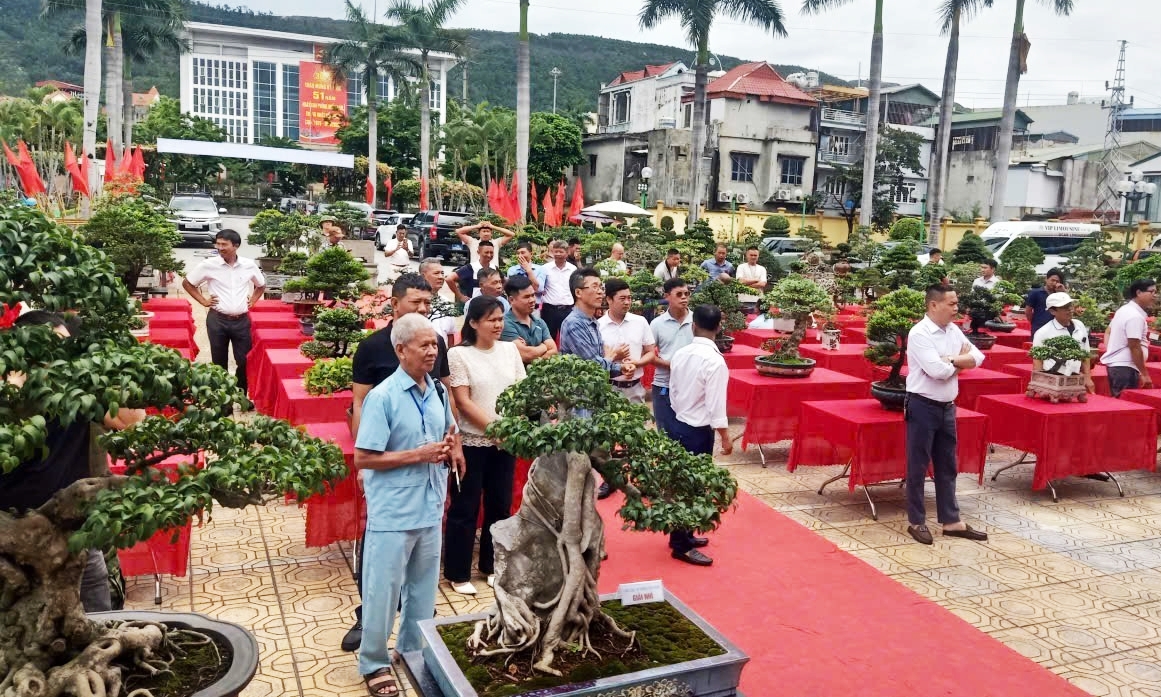 Quảng Ninh Phát triển hoa, cây cảnh gắn với nông nghiệp đô thị và kinh tế xanh