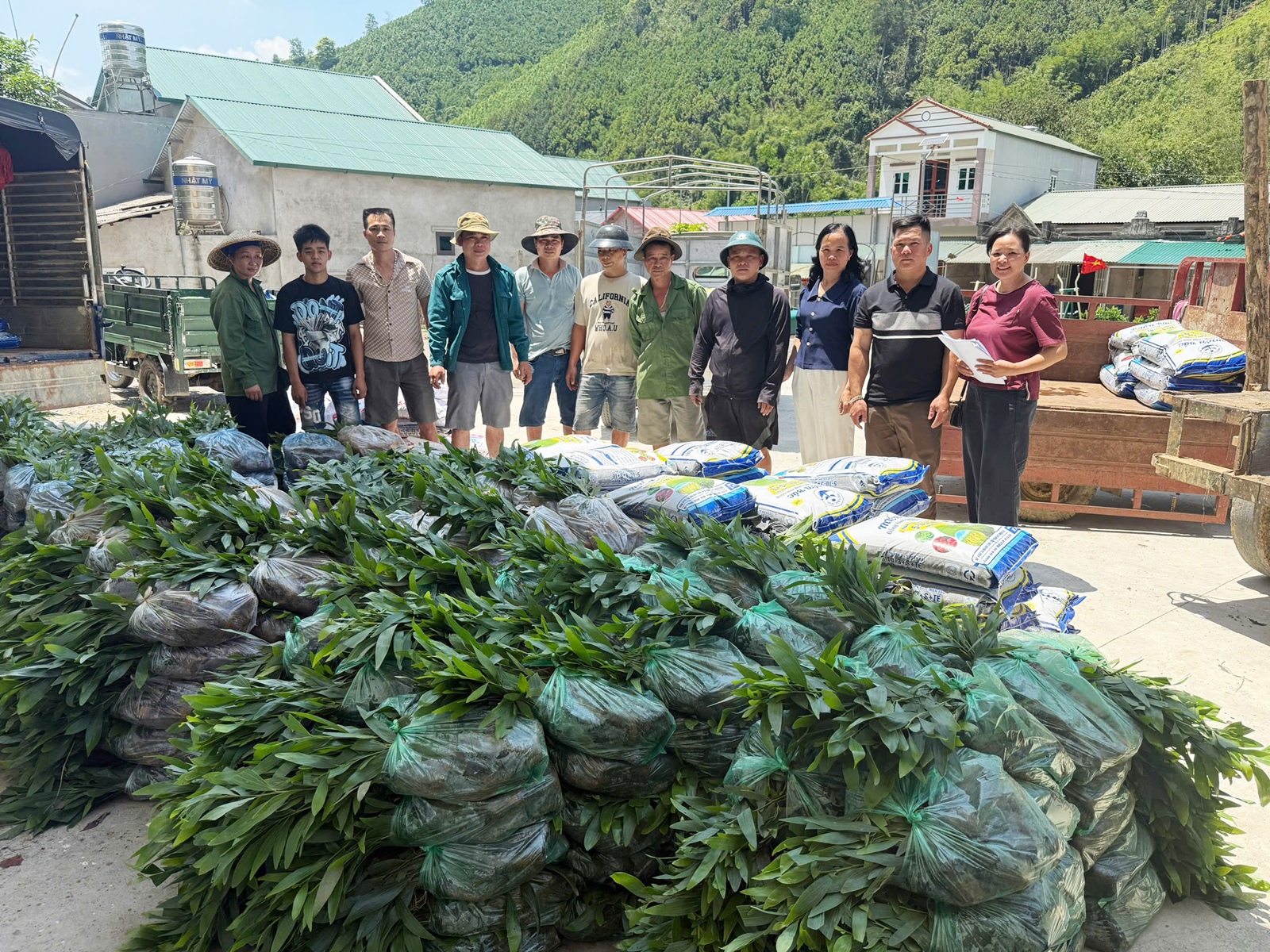 Cao Bằng Cấp phát cây giống và phân bón thực hiện mô hình trồng rừng thâm canh bằng một số giống keo lai