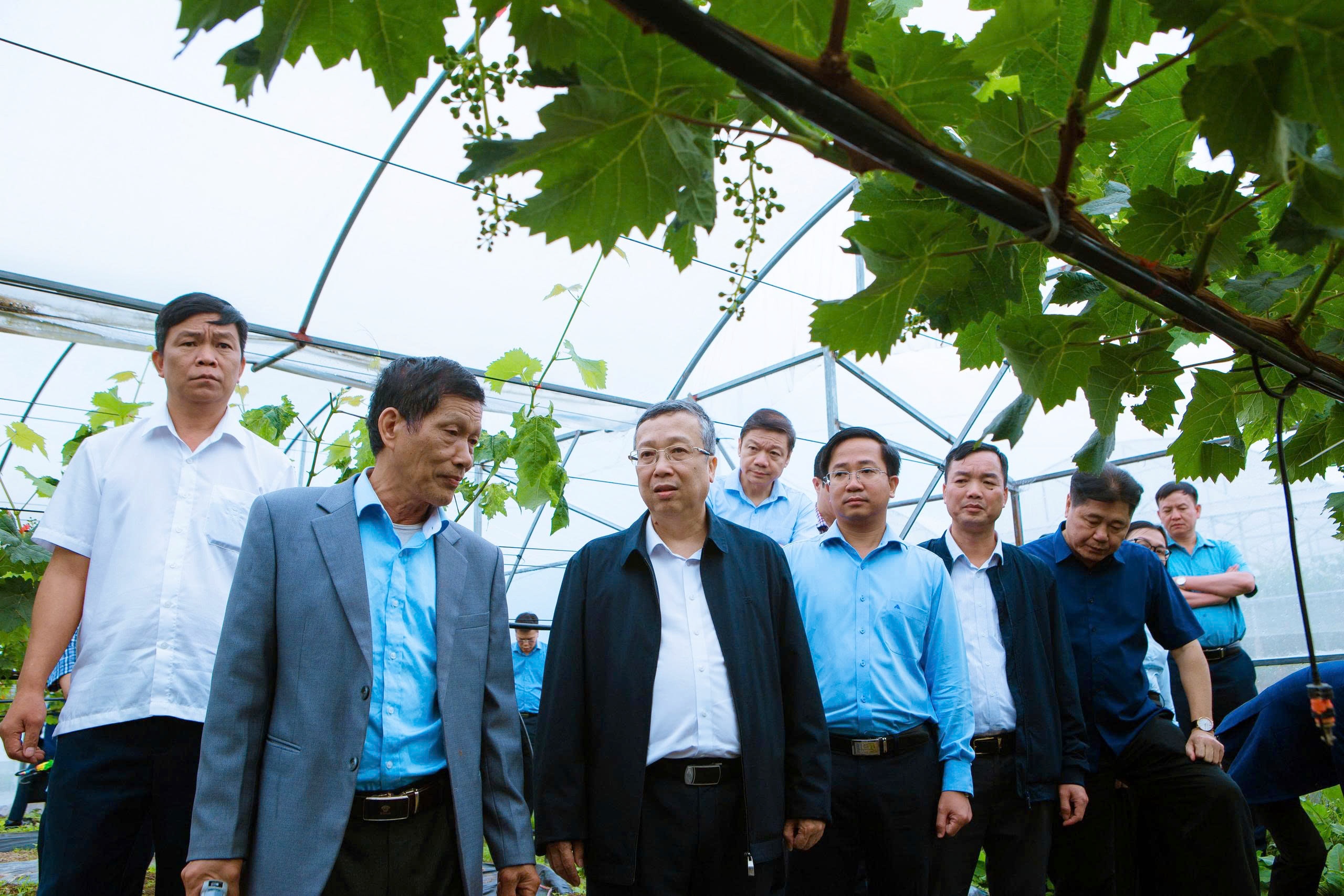 Khảo sát tiềm năng phát triển nông nghiệp công nghệ cao tại Y Tý, Lào Cai