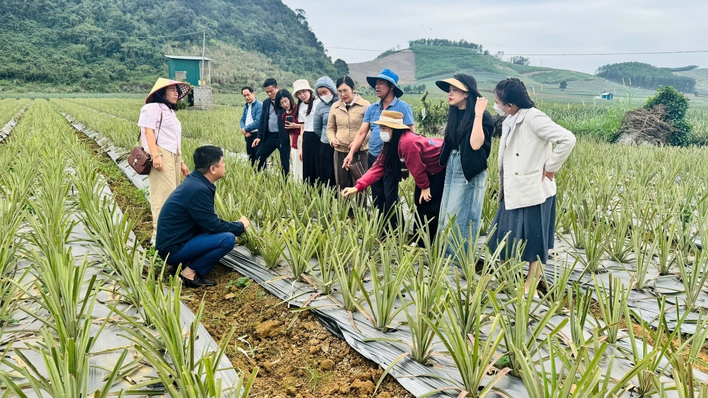 Hệ thống khuyến nông Ninh Bình sau 01 năm thực hiện theo mô hình chính quyền địa phương 02 cấp