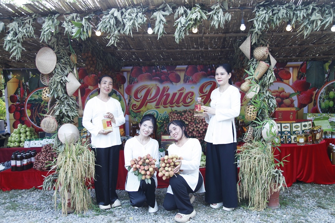 Chuỗi hoạt động quảng bá thương hiệu vải thiều chín sớm Phúc Hòa