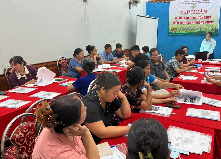 Cao Bằng Tập huấn nâng cao năng lực Quản lý dịch hại tổng hợp IPM cho nông dân