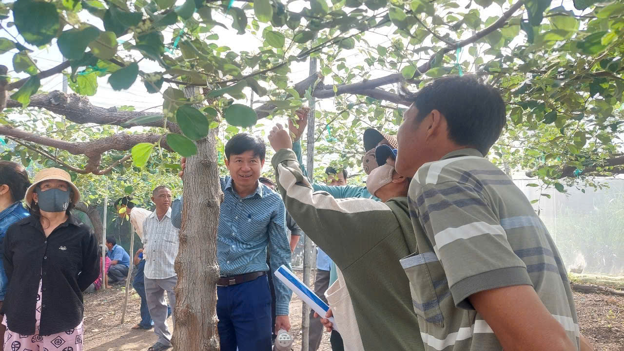 Khánh Hòa Tập huấn kỹ thuật sản xuất nho, táo theo tiêu chuẩn VietGAP gắn với liên kết tiêu thụ sản phẩm, kết hợp du lịch sinh thái