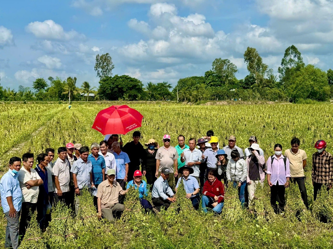 Tăng cường năng lực - nền tảng quan trọng để phát triển chuỗi giá trị vừng bền vững tại Việt Nam