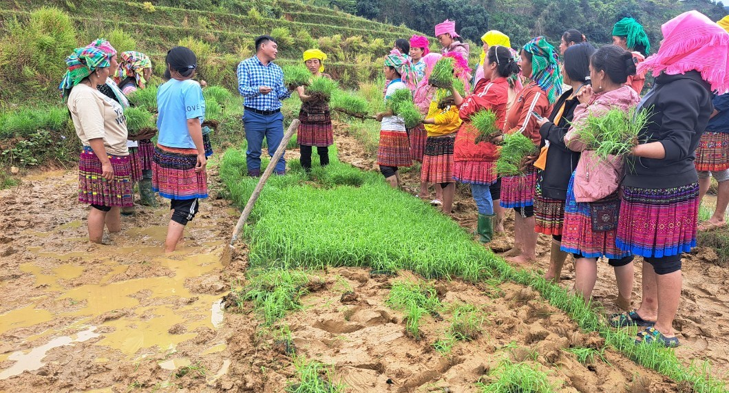 Sổ tay hướng dẫn thực hiện Chương trình MTQG xây dựng nông thôn mới, giảm nghèo bền vững và phát triển kinh tế - xã hội vùng DTTS MN