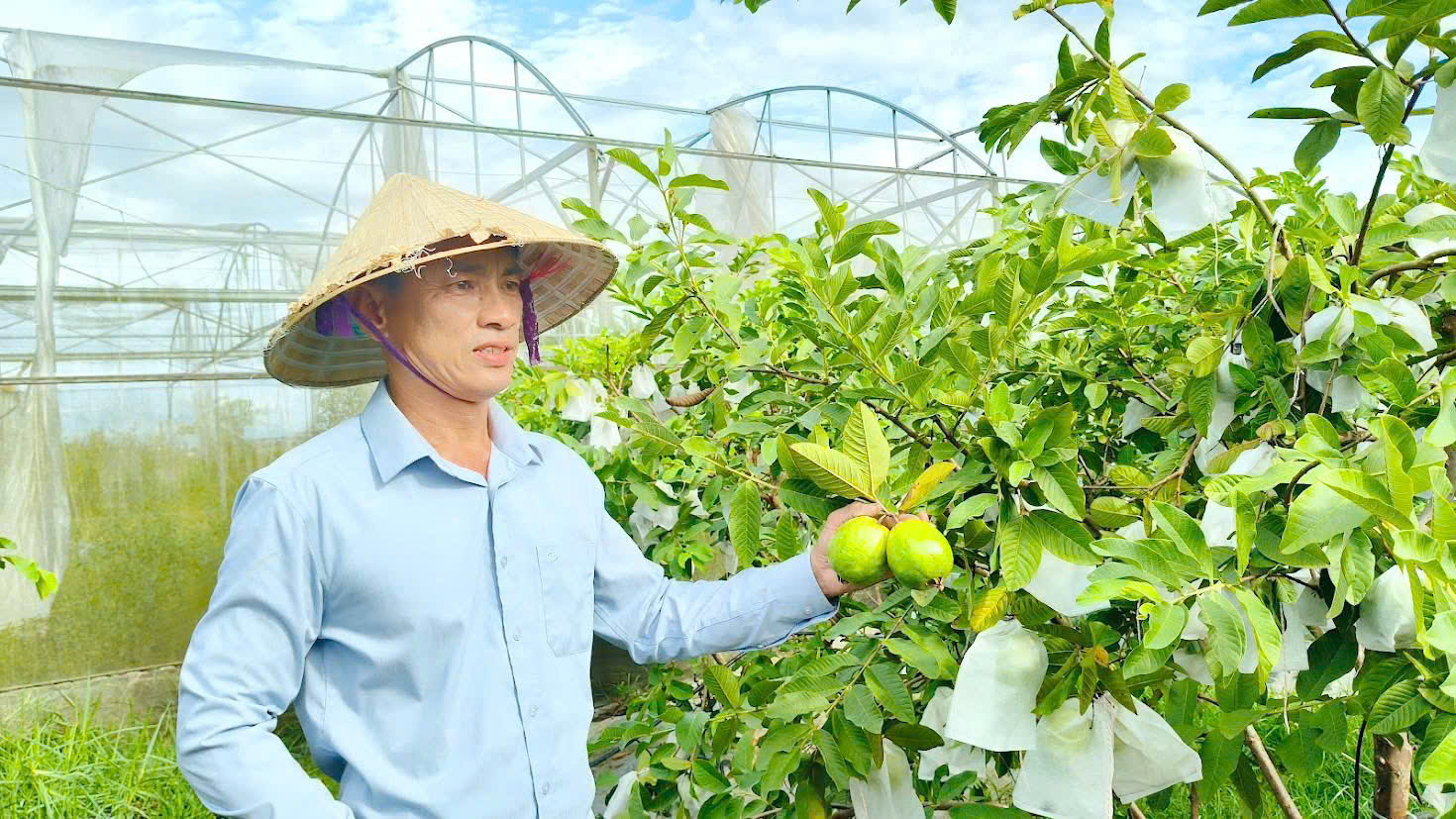 Biến đất hoang thành trang trại cho thu nhập cao