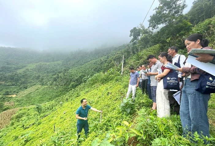 Cao Bằng Tập huấn đào tạo lý thuyết và thực địa về chuỗi giá trị thạch