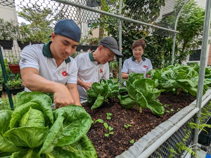 Bài học từ Singapore Phát triển nguồn nhân lực và hệ thống khuyến nông hướng tới nền nông nghiệp hiện đại