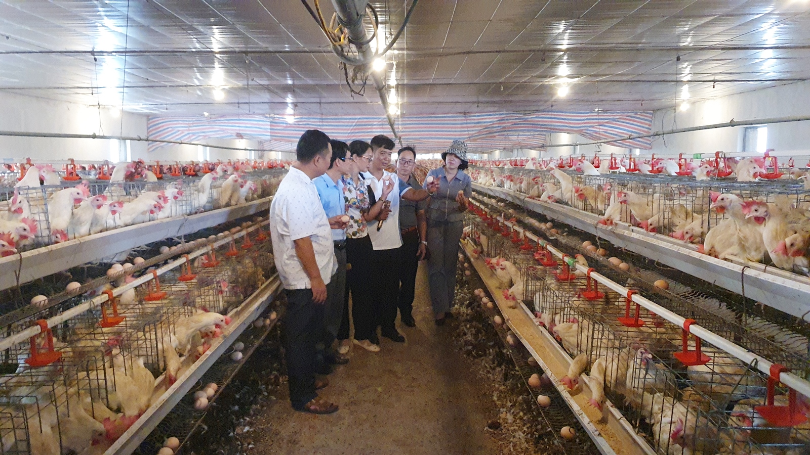 Tọa đàm “Giải pháp phát triển chăn nuôi gắn với truy xuất nguồn gốc và liên kết tiêu thụ sản phẩm”