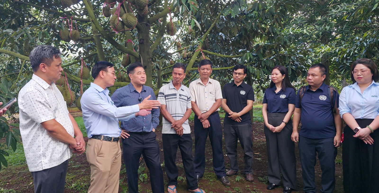 TTKNQG tổ chức tập huấn hướng dẫn triển khai quy định về mã số vùng trồng, mã số cơ sở đóng gói