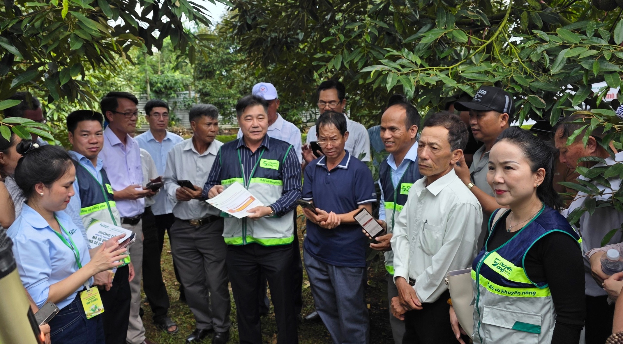 TTKNQG tổ chức tập huấn hướng dẫn triển khai quy định về mã số vùng trồng, mã số cơ sở đóng gói